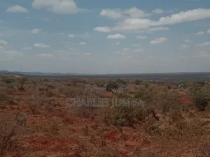 38 Acres in Namanga