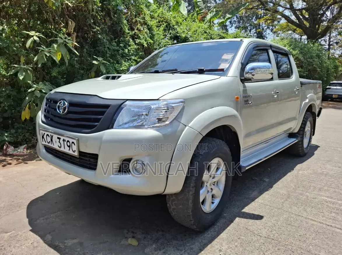 Toyota Hilux 2010 Brown