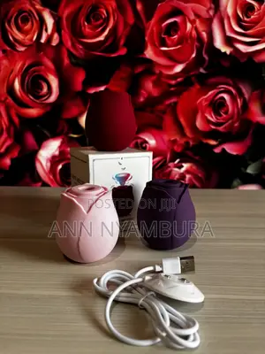 The Rose Toy Vibrator and Nipple Sucker🌹