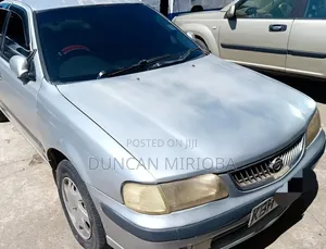 Nissan Sunny 2005 Gray