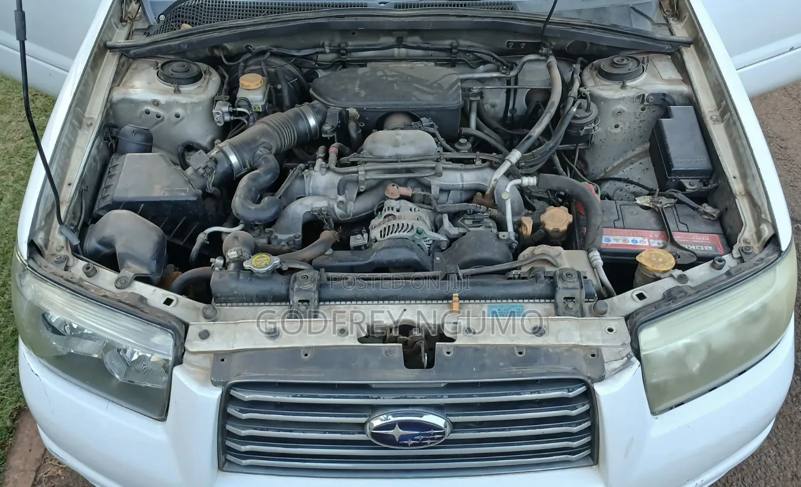 Subaru Forester 2005 White