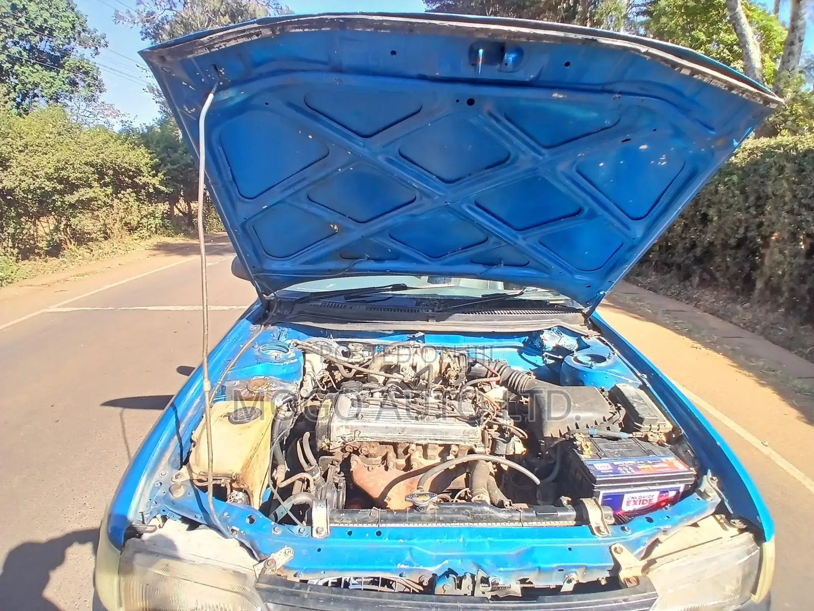Toyota Corolla 2000 Blue