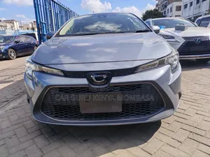 Toyota Corolla 2019 Gray