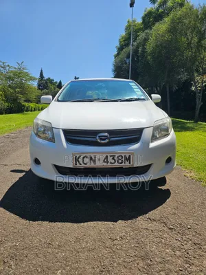 Toyota Corolla Fielder 2010 White
