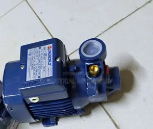 Powerful Pedrollo Water Pump
