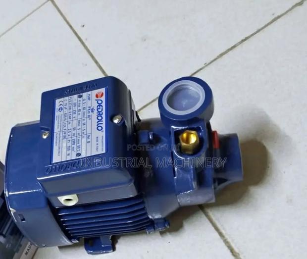 Powerful Pedrollo Water Pump