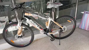 21speed Size 29 Reset Mountain Bike