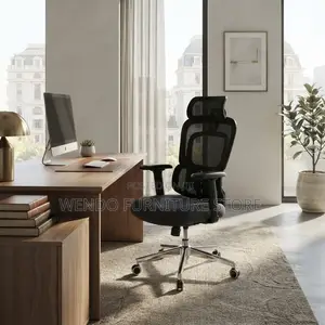 Office Chairs; Executive Orthopedic Modern Office Solution Seat