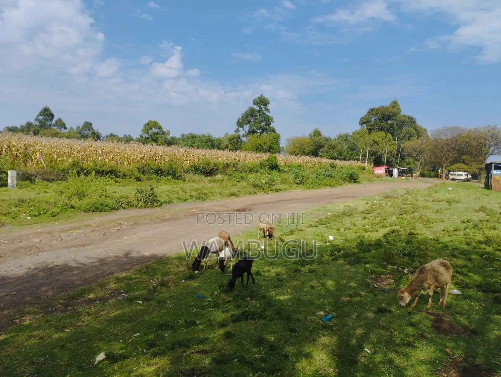 3 Acres for Sale, 1st on the Eldoret-Nakuru Highway at Ngata Gate