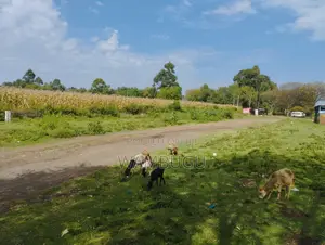 3 Acres for Sale, 1st on the Eldoret-Nakuru Highway at Ngata Gate
