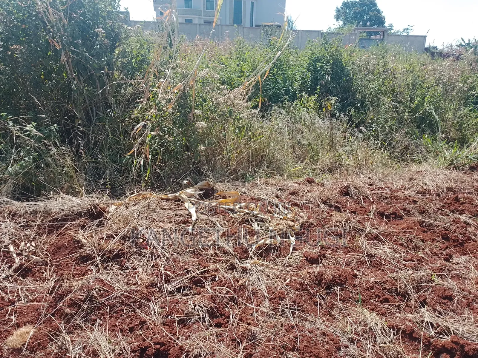 50x100 Plot Anmer Gardens Estate, Kiambu