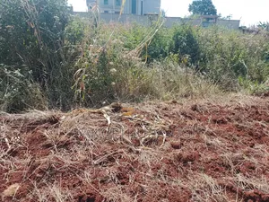 50x100 Plot Anmer Gardens Estate, Kiambu