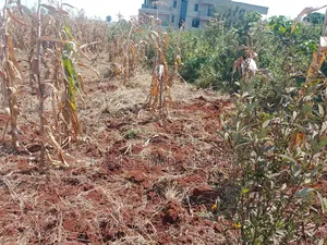 50x100 Plot Anmer Gardens Estate, Kiambu
