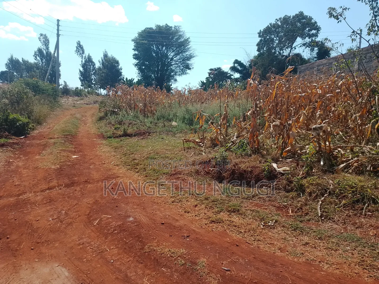 50x100 Plot Anmer Gardens Estate, Kiambu