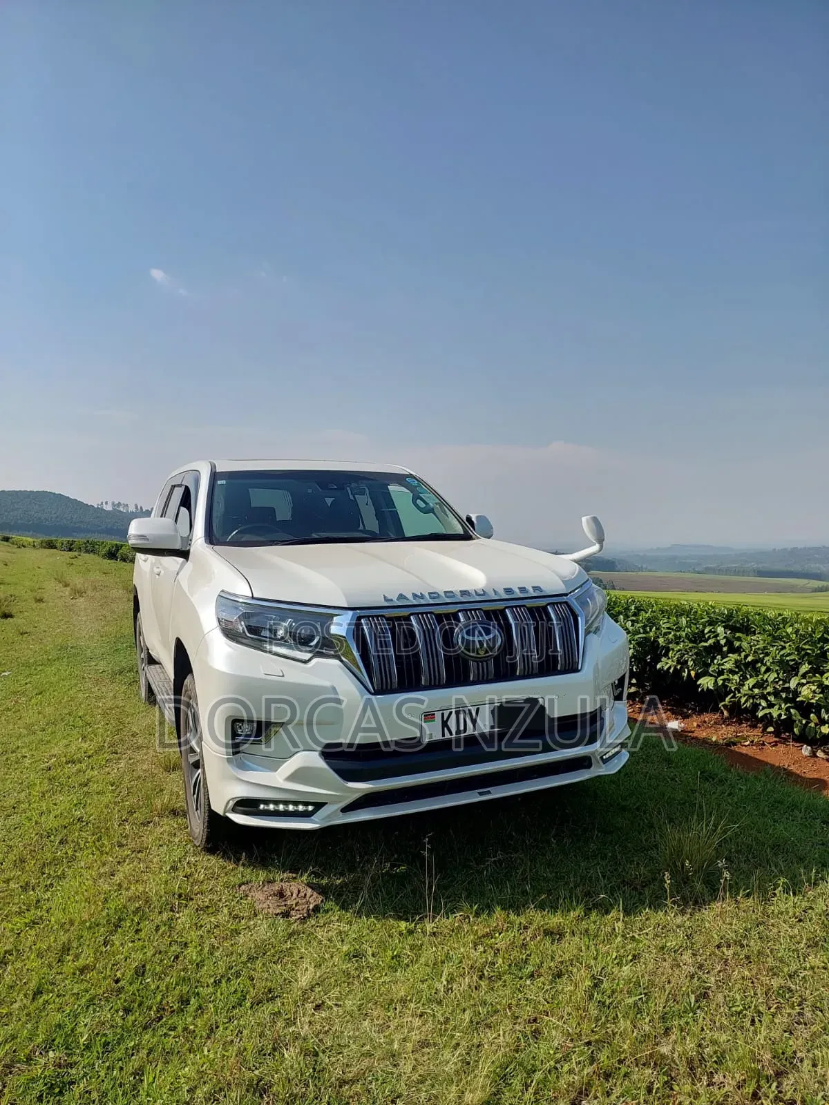 Rental Vehicles