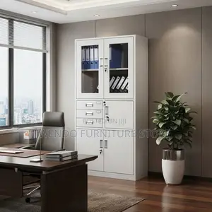 Office Cabinet; Two Doors Modern Office Storage Cabinets