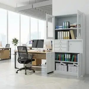 Office Cabinet; Two Doors Modern Office Storage Cabinets