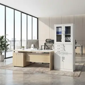 Office Cabinet; Two Doors Modern Office Storage Cabinets