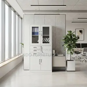 Office Cabinet; Two Doors Modern Office Storage Cabinets