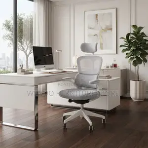 Office Chairs; Executive Chair With Flip Up Orthopedic Chair