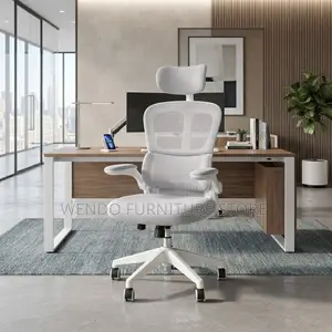 Office Chairs; Executive Chair With Flip Up Orthopedic Chair