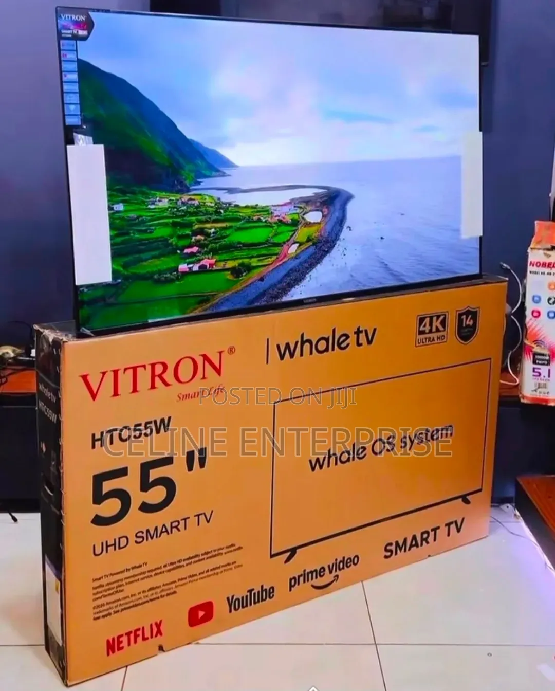 Vitron 55" Whale TV