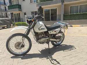 Suzuki 2013 White