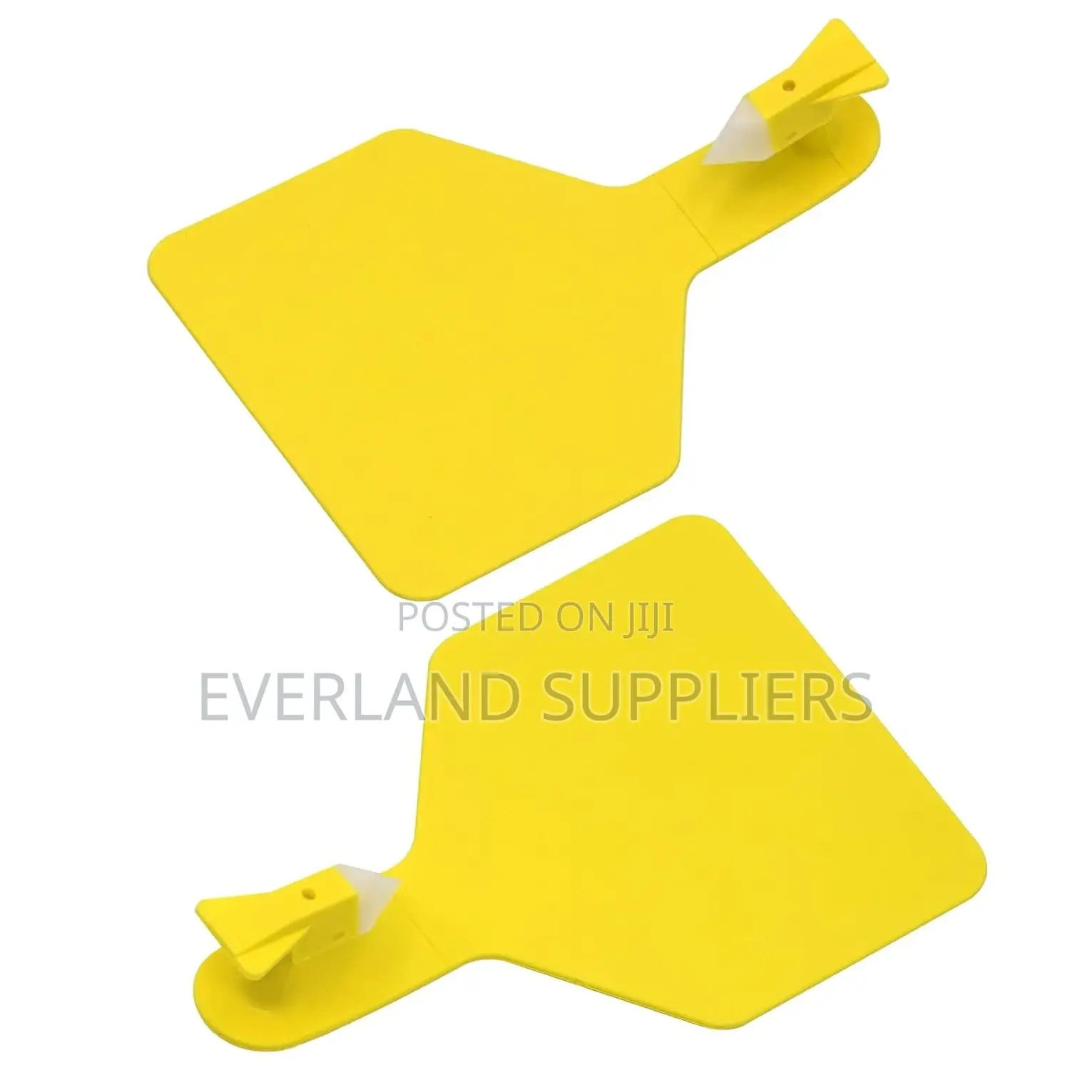 Calf Management Z-Tag