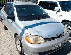 Toyota Platz 2001 Gray