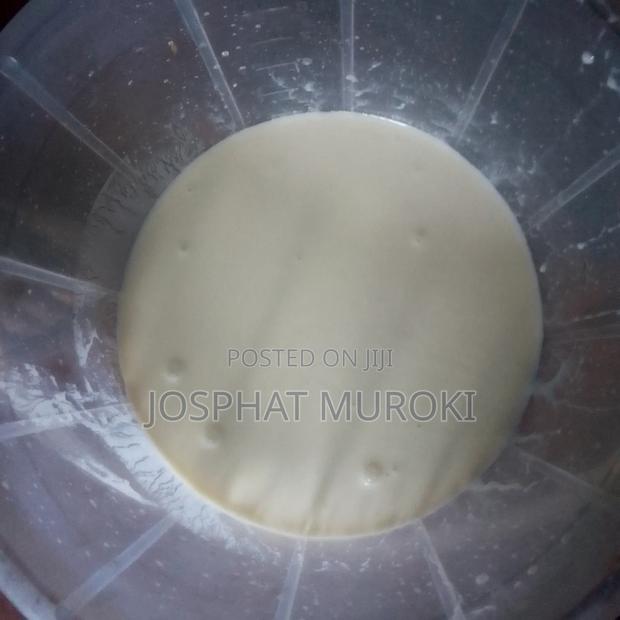 Fresh Yoghurt