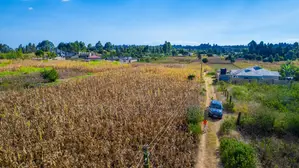 Prime Residential Plot for Sale in Kikuyu, Ng'amba