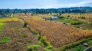 Prime Residential Plot for Sale in Kikuyu, Ng'amba
