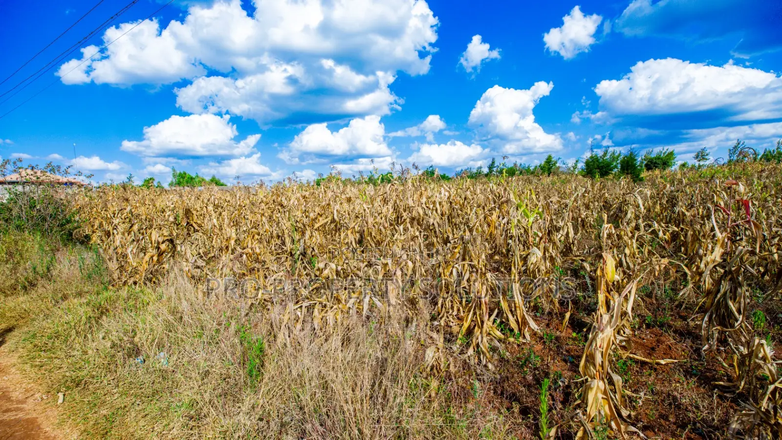 Prime Residential Plot for Sale in Kikuyu, Ng'amba