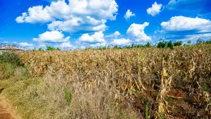 Prime Residential Plot for Sale in Kikuyu, Ng'amba