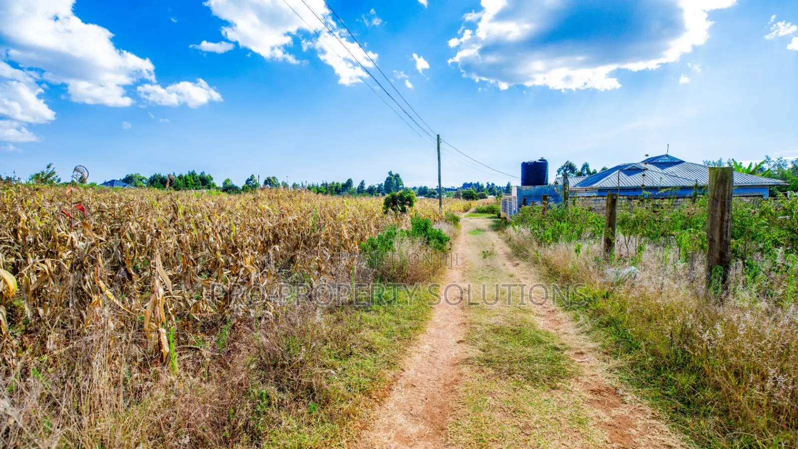 Prime Residential Plot for Sale in Kikuyu, Ng'amba