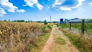 Prime Residential Plot for Sale in Kikuyu, Ng'amba
