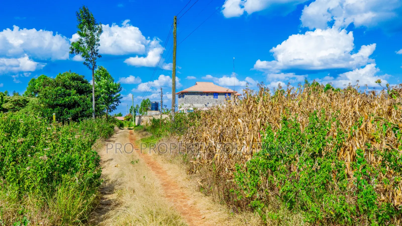 Prime Residential Plot for Sale in Kikuyu, Ng'amba