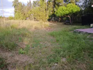 Prime Land for Sale, 5 Acres