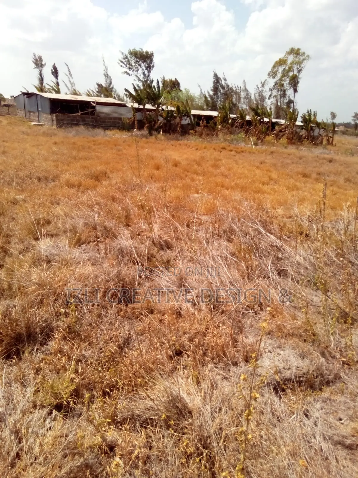 Prime Land for Sale, 5 Acres
