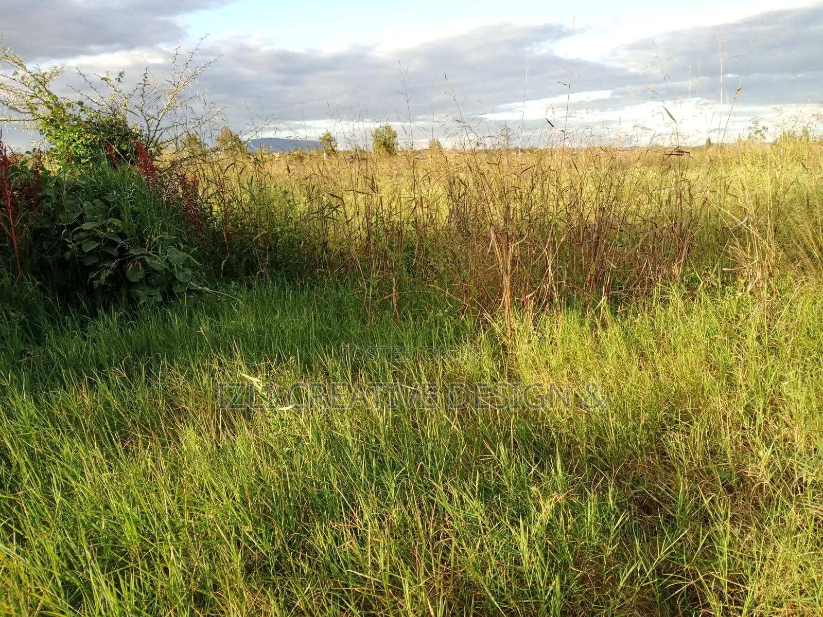 Prime Land for Sale, 5 Acres
