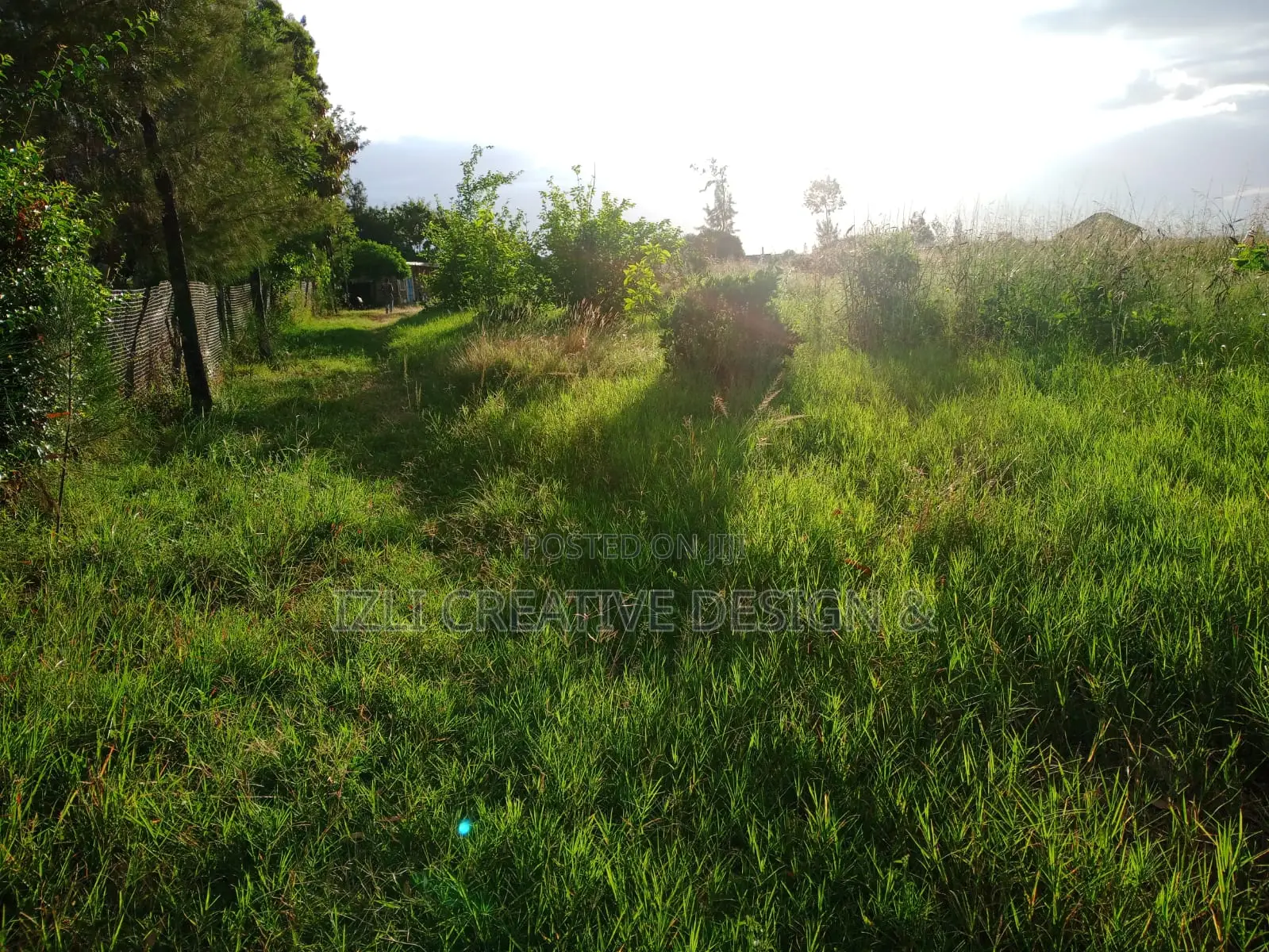 Prime Land for Sale, 5 Acres