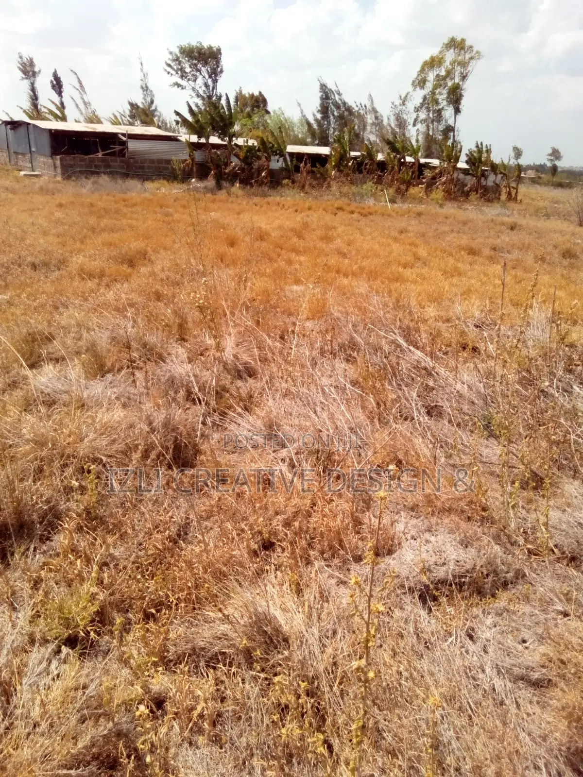 Prime Land for Sale, 5 Acres