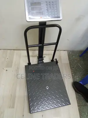 300KG Electronic Platform Weighing Scale