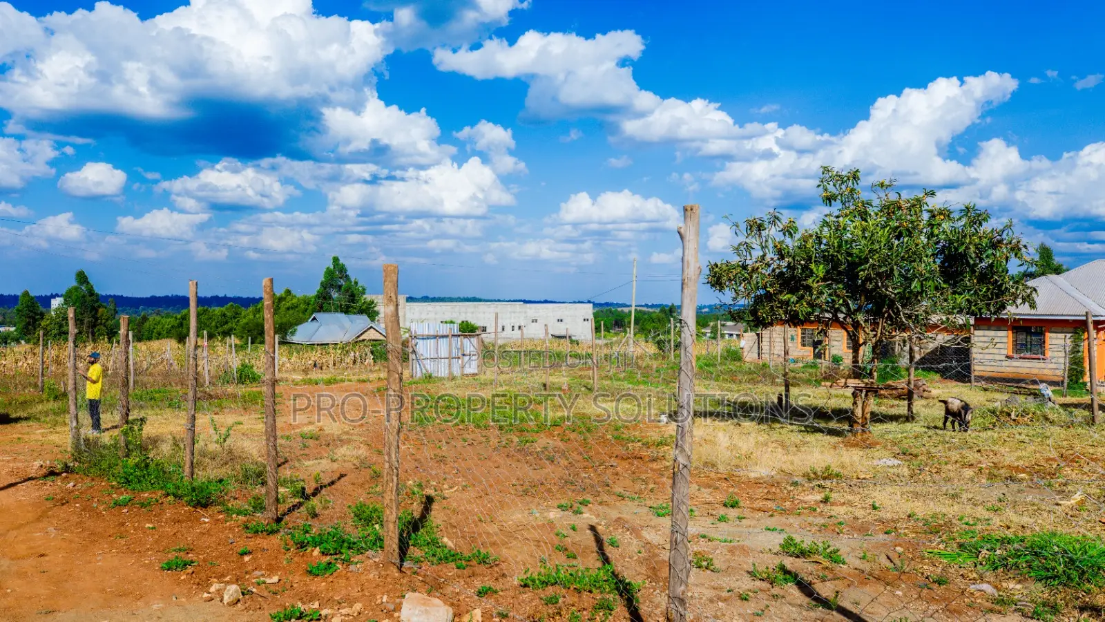 Prime Residential Plot for Sale in Kikuyu, Thigio.