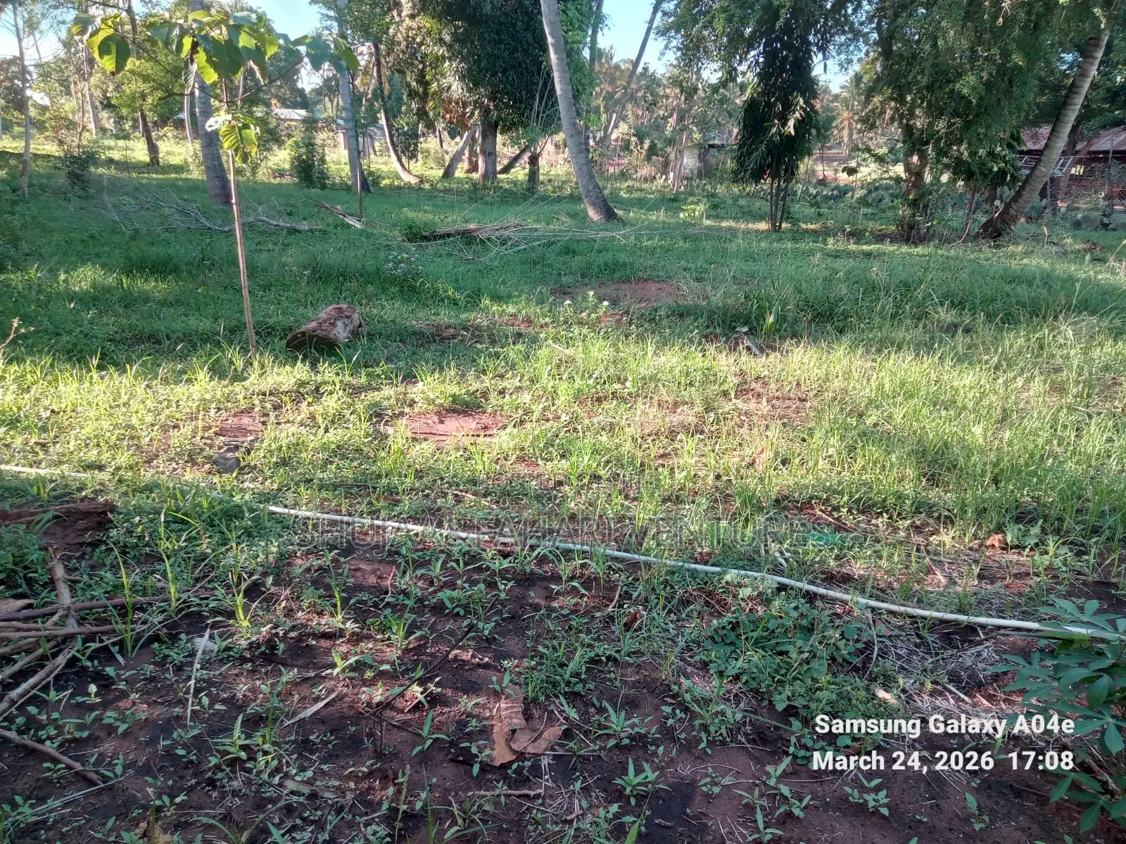 Prime 2-Acre Land for Sale in Vipingo Kadzinuni Clean Title | KSH 6m
