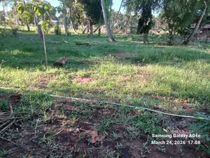 Prime 2-Acre Land for Sale in Vipingo Kadzinuni Clean Title | KSH 6m