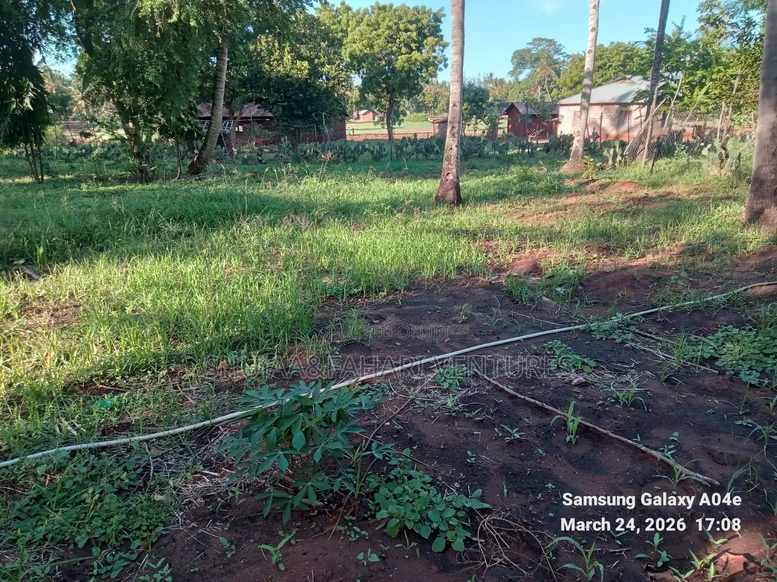 Prime 2-Acre Land for Sale in Vipingo Kadzinuni Clean Title | KSH 6m