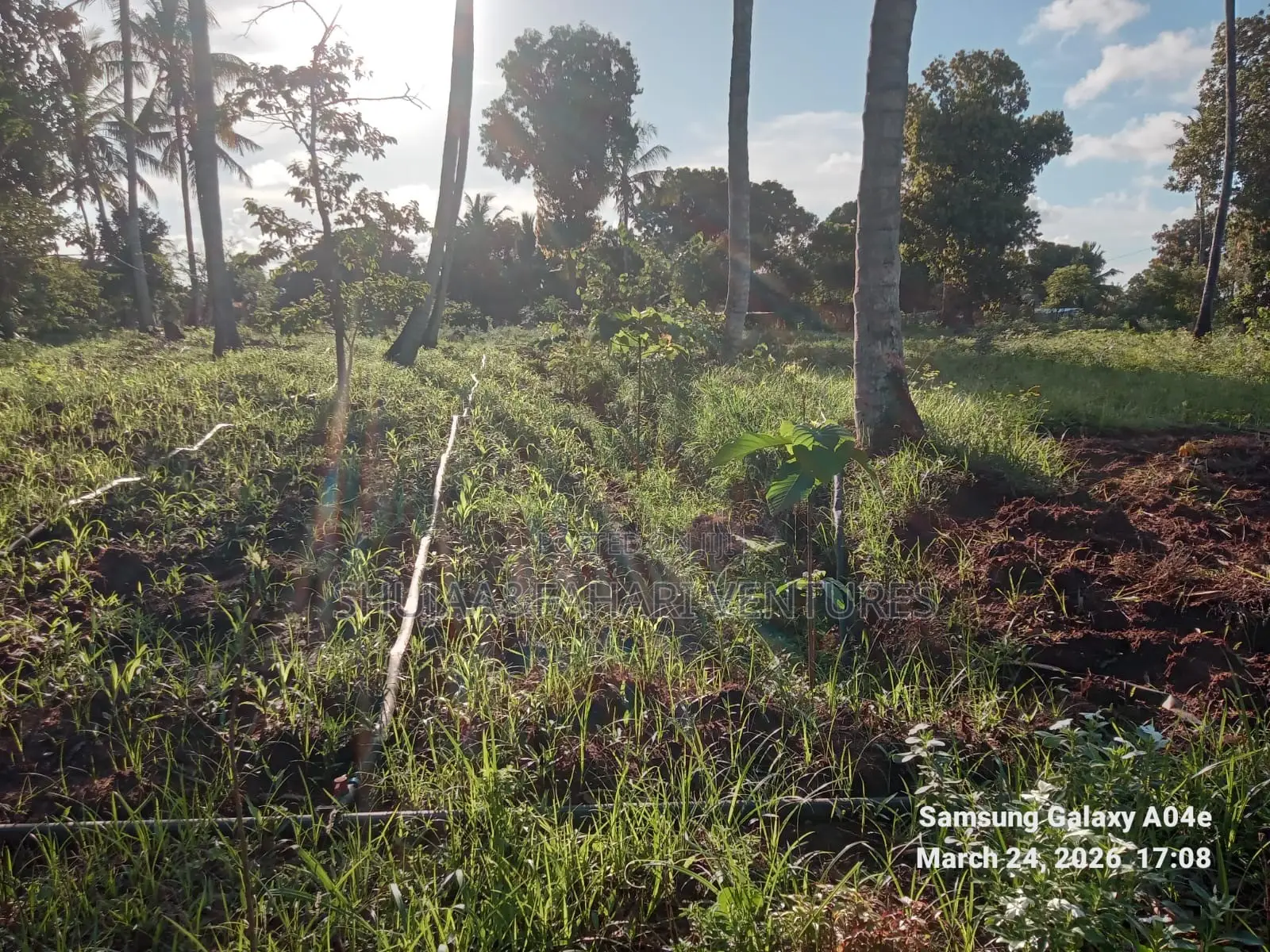Prime 2-Acre Land for Sale in Vipingo Kadzinuni Clean Title | KSH 6m