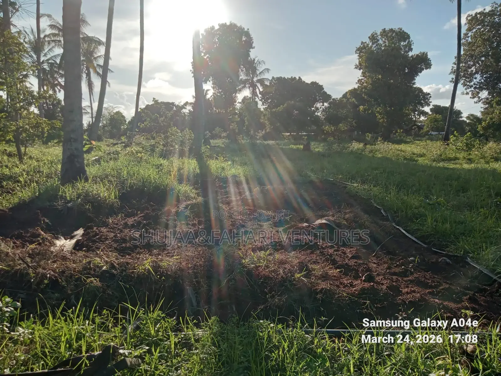 Prime 2-Acre Land for Sale in Vipingo Kadzinuni Clean Title | KSH 6m