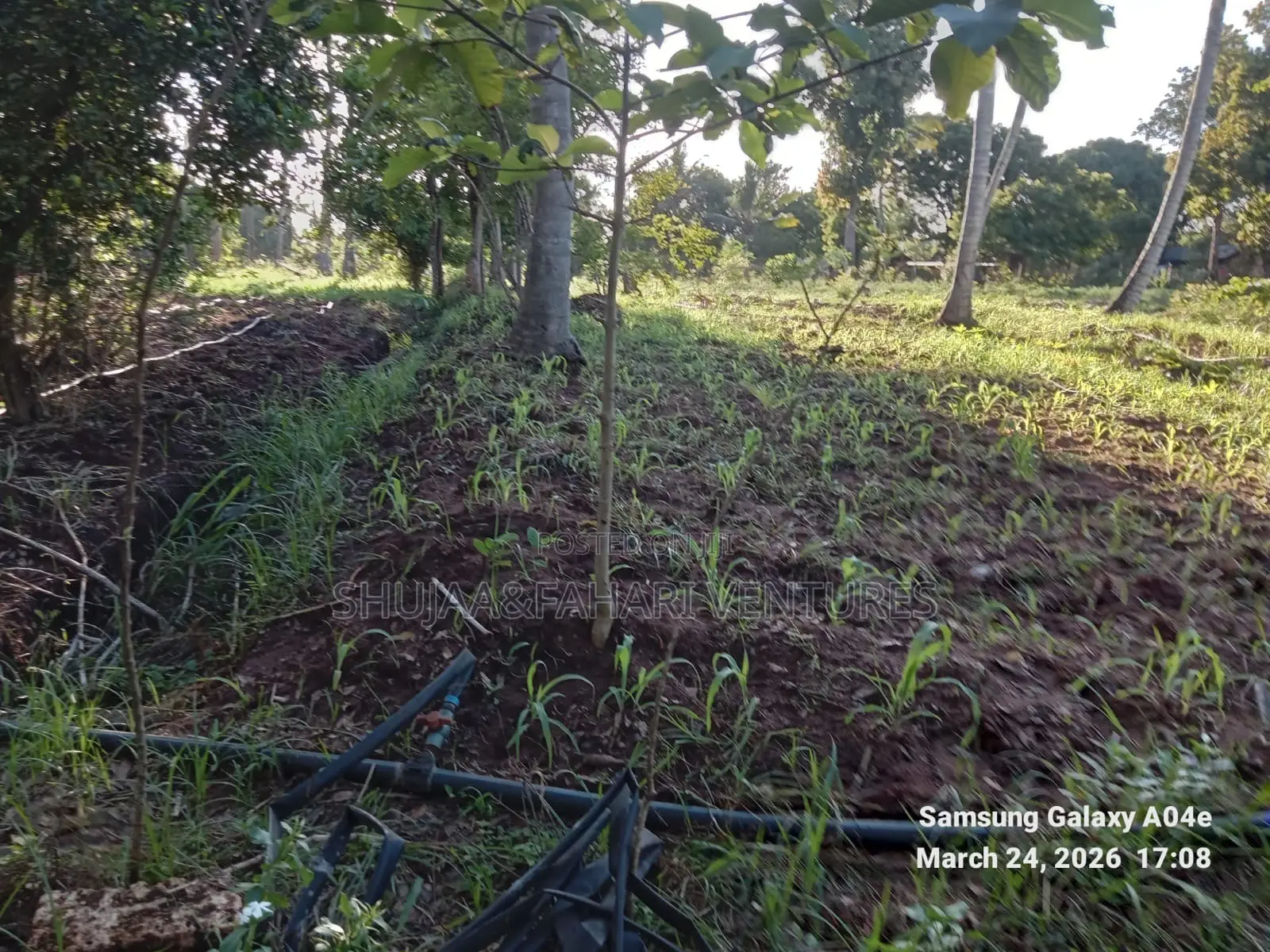 Prime 2-Acre Land for Sale in Vipingo Kadzinuni Clean Title | KSH 6m